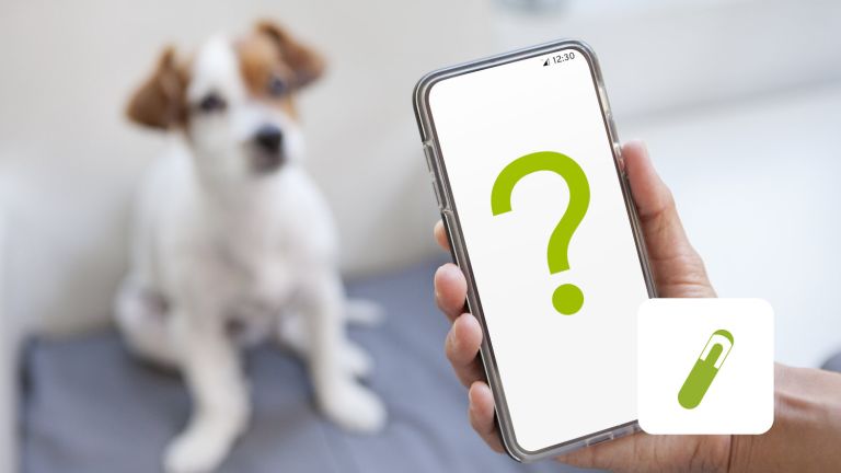 Hund und Mensch der Smartphone hält